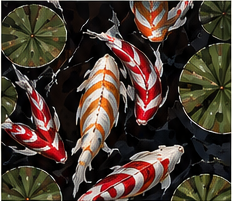 Koi Amongst the Lilies
